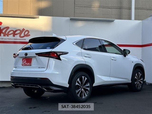 Lexus NX 2019-08 3377974-2