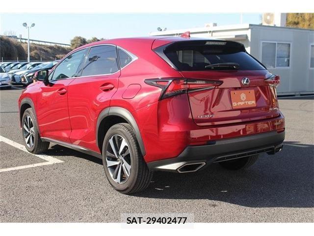 Lexus NX 2017-11 3674734-11