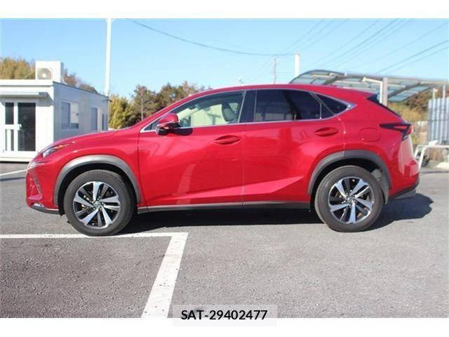 Lexus NX 2017-11 3674734-12