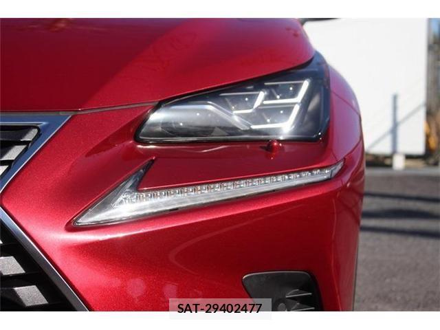 Lexus NX 2017-11 3674734-16