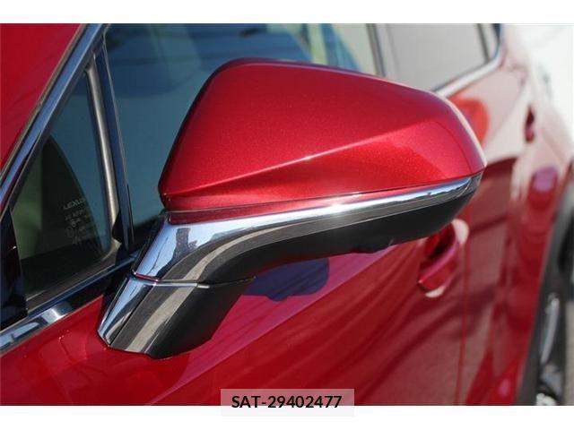 Lexus NX 2017-11 3674734-21