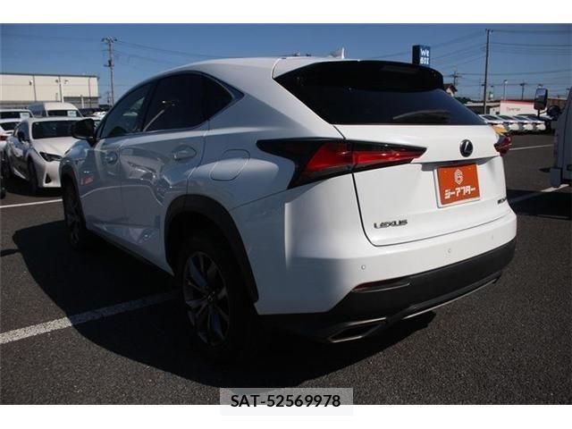 Lexus NX 2017-10 4176055-10