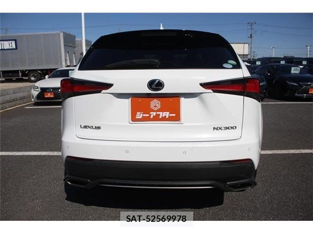 Lexus NX 2017-10 4176055-11