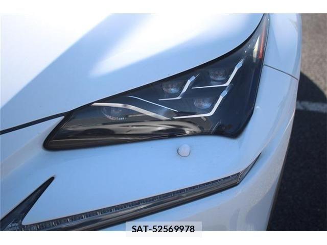 Lexus NX 2017-10 4176055-15