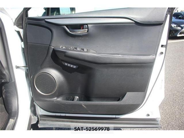 Lexus NX 2017-10 4176055-19