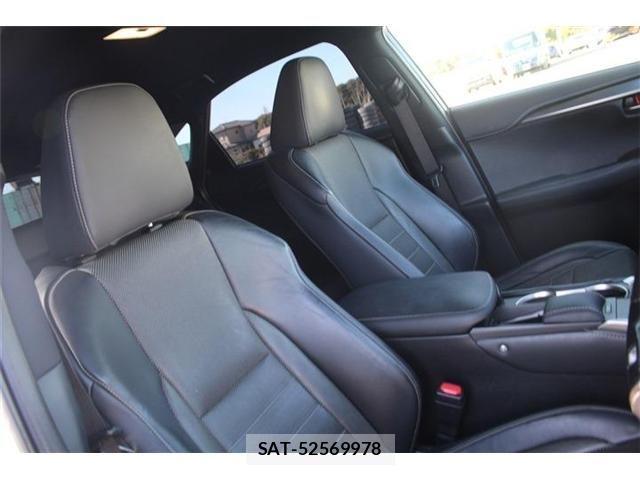 Lexus NX 2017-10 4176055-21