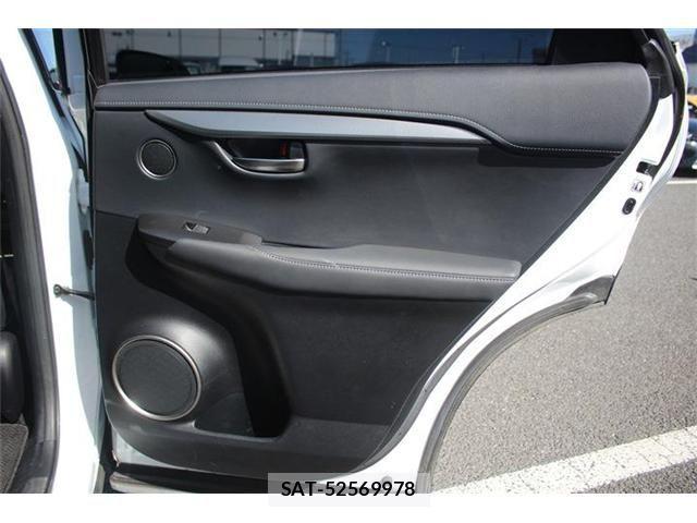 Lexus NX 2017-10 4176055-22