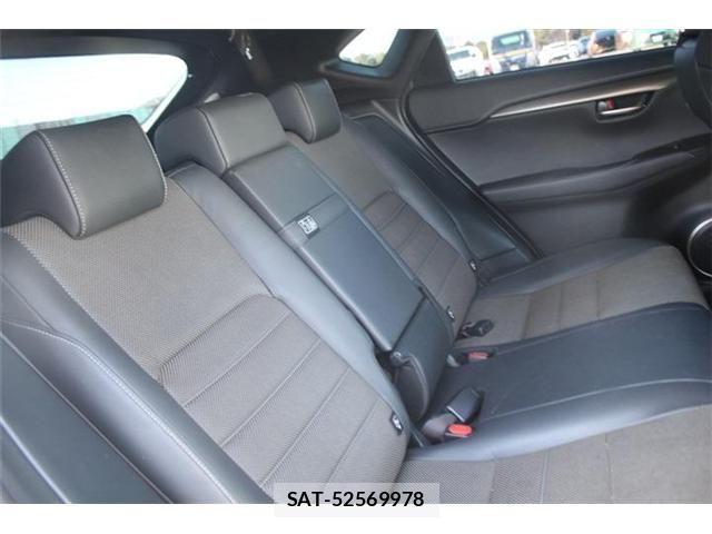 Lexus NX 2017-10 4176055-24