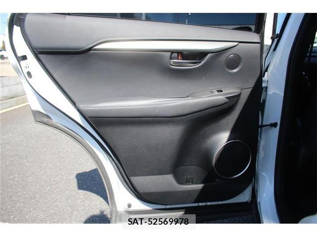 Lexus NX 2017-10 4176055-25