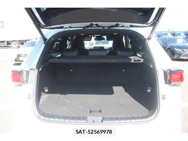 Lexus NX 2017-10 4176055-28