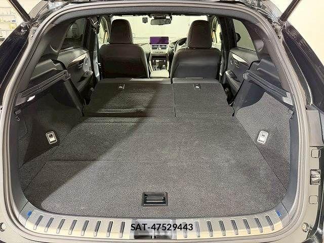 Lexus NX 2020-11 4421781-12