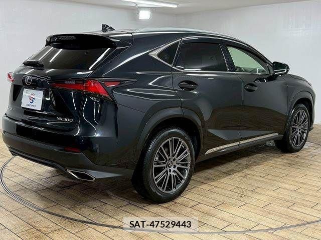 Lexus NX 2020-11 4421781-15