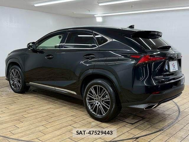 Lexus NX 2020-11 4421781-16