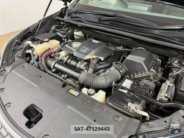 Lexus NX 2020-11 4421781-17