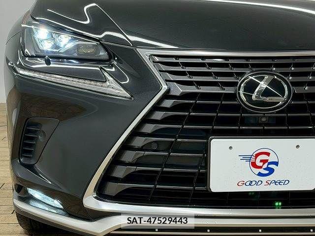 Lexus NX 2020-11 4421781-18