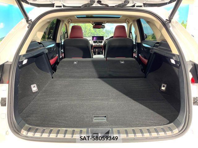 Lexus NX 2019-09 4595559-9