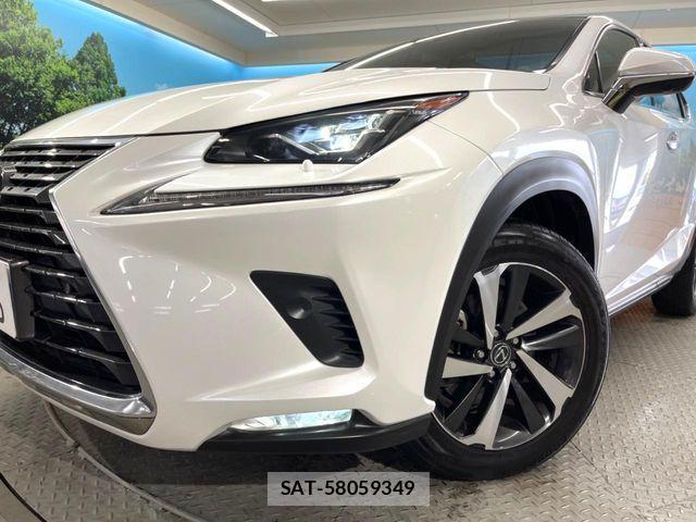 Lexus NX 2019-09 4595559-11