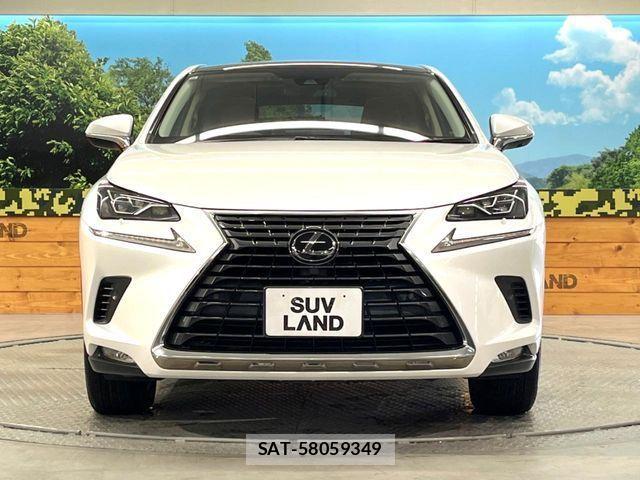 Lexus NX 2019-09 4595559-13