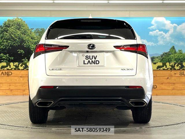 Lexus NX 2019-09 4595559-14