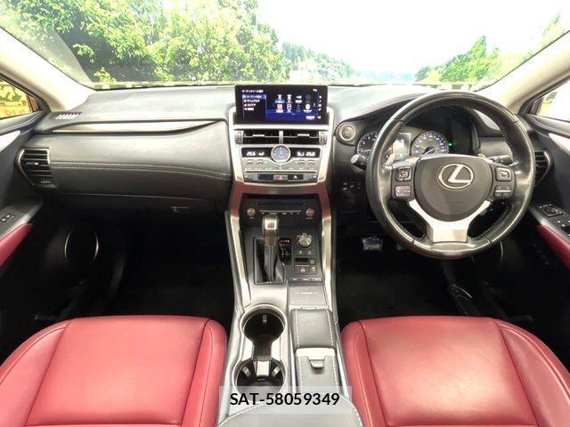 Lexus NX 2019-09 4595559-1