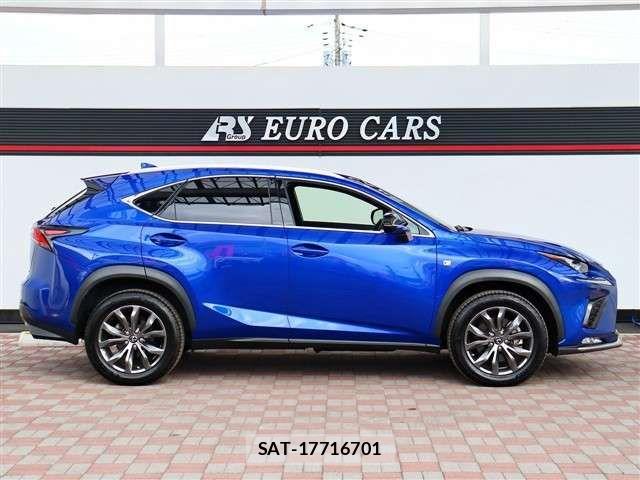 Lexus NX 2020-01 4964612-4
