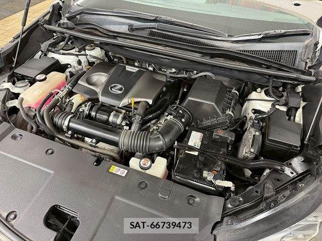 Lexus NX 2019-05 5871012-17