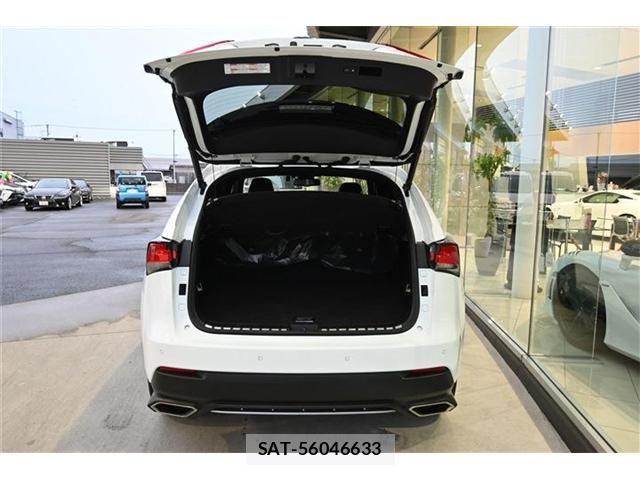Lexus NX 2019-07 6011692-14