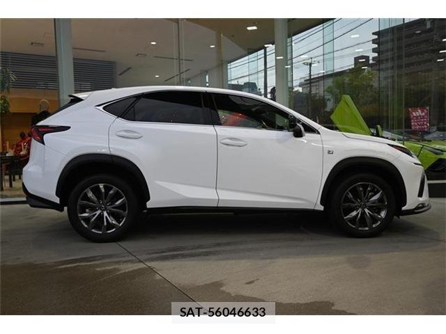 Lexus NX 2019-07 6011692-5