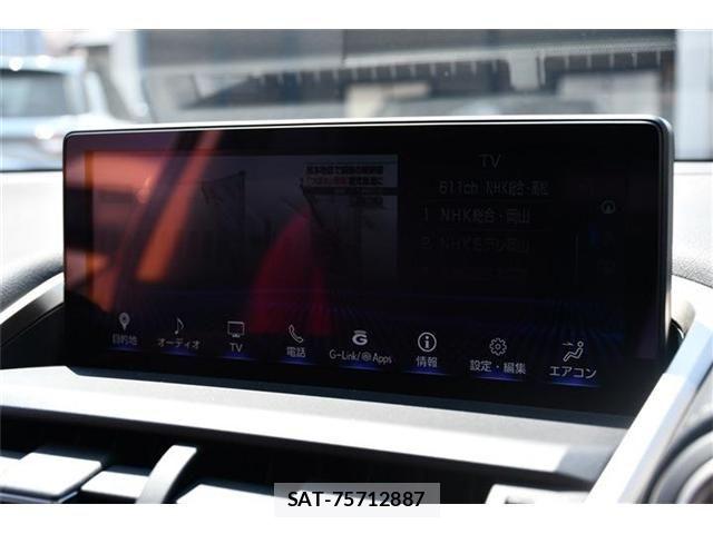 Lexus NX 2020-12 6245218-10
