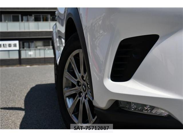 Lexus NX 2020-12 6245218-11