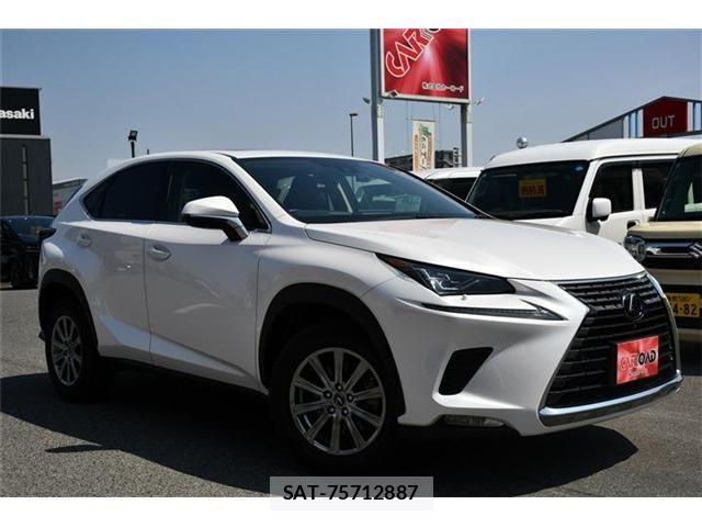 Lexus NX 2020-12 6245218-12