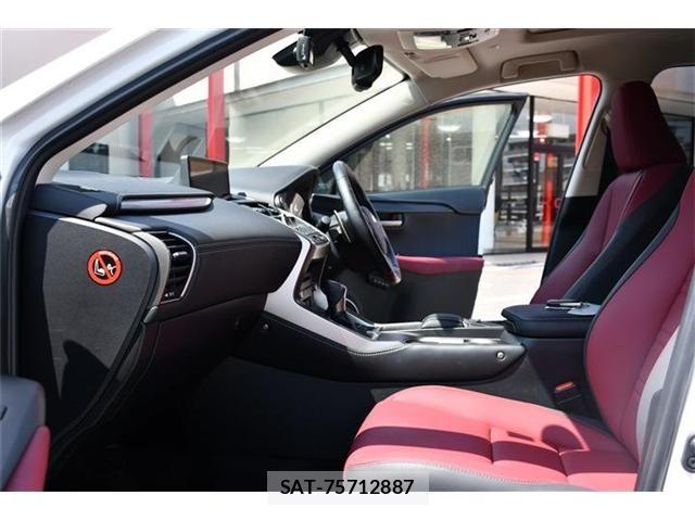 Lexus NX 2020-12 6245218-13