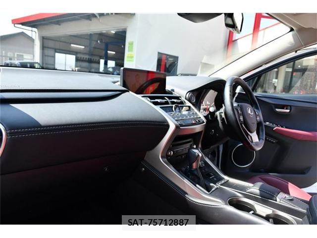 Lexus NX 2020-12 6245218-16