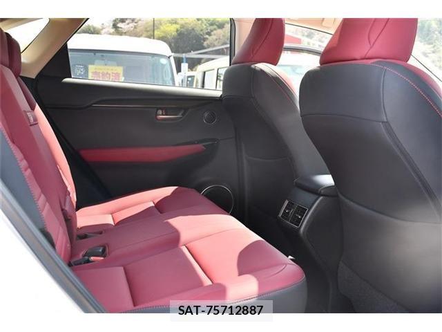 Lexus NX 2020-12 6245218-19
