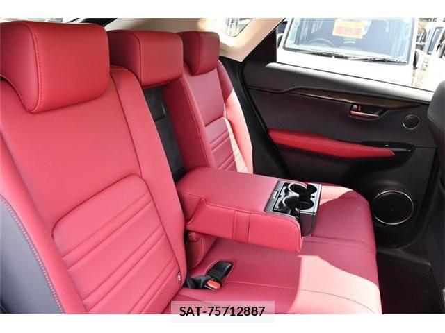 Lexus NX 2020-12 6245218-20