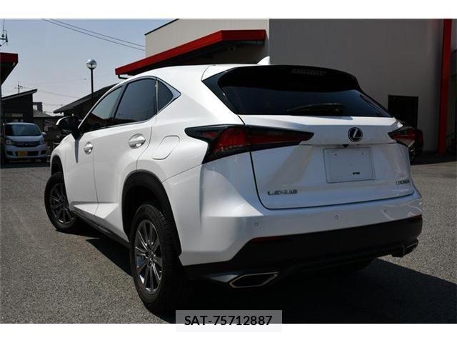 Lexus NX 2020-12 6245218-2