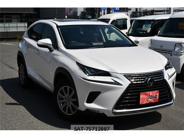 Lexus NX 2020-12 6245218-29