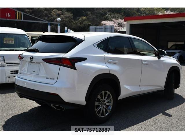 Lexus NX 2020-12 6245218-3