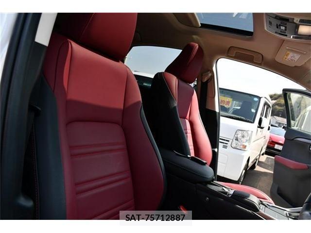 Lexus NX 2020-12 6245218-6