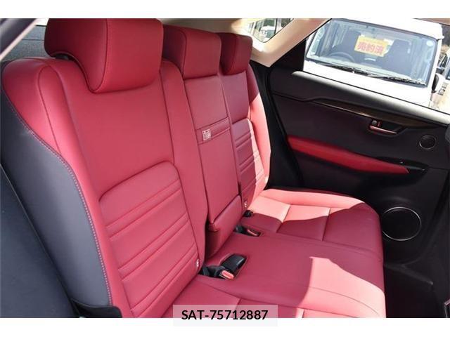 Lexus NX 2020-12 6245218-7