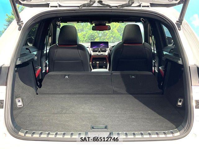 Lexus NX 2017-10 6245219-10