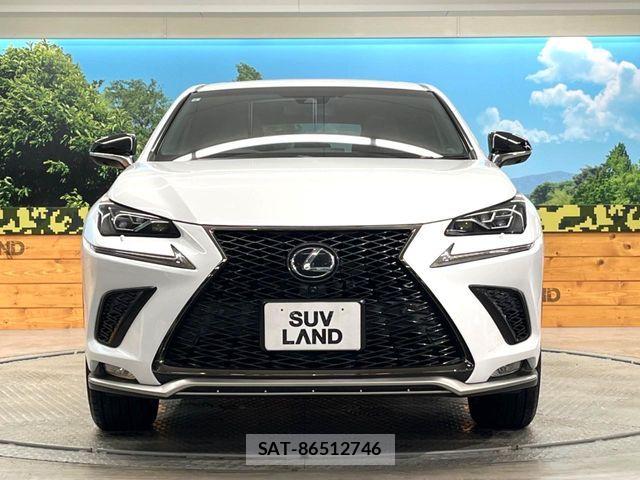 Lexus NX 2017-10 6245219-14