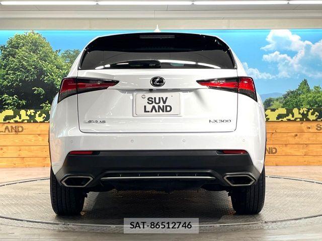 Lexus NX 2017-10 6245219-15