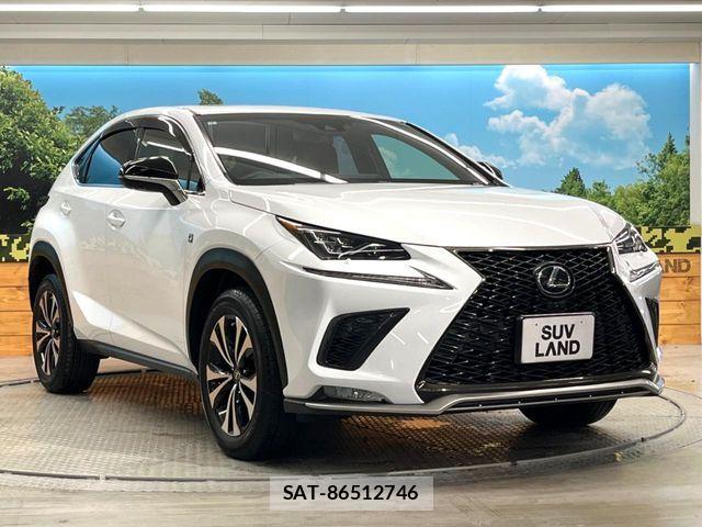 Lexus NX 2017-10 6245219-16