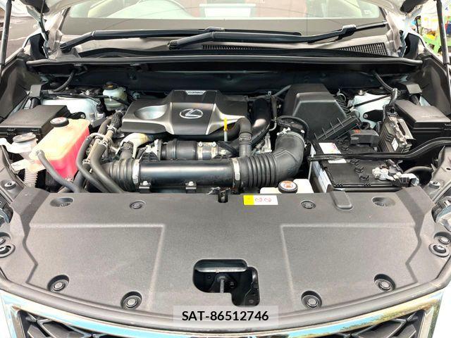 Lexus NX 2017-10 6245219-18