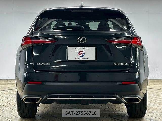 Lexus NX 2020-12 6545556-18
