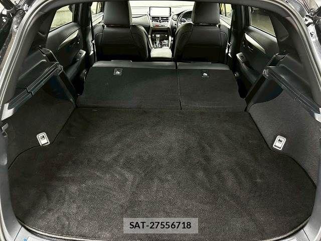 Lexus NX 2020-12 6545556-19