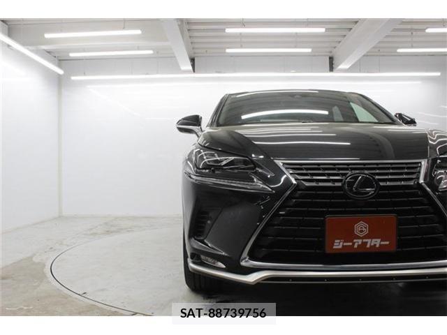Lexus NX 2020-11 6545570-10