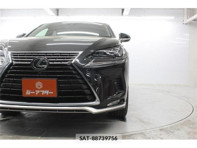 Lexus NX 2020-11 6545570-12