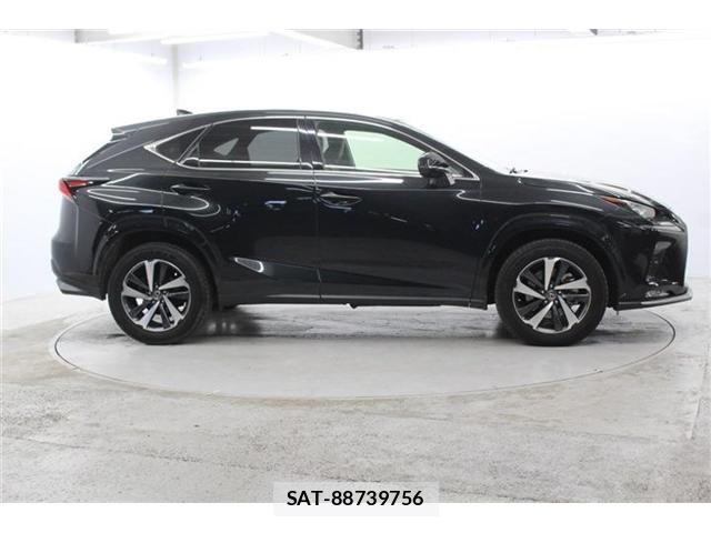 Lexus NX 2020-11 6545570-3